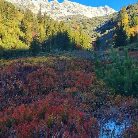 Quarto em Acomodações Particulares Privat Dolina *